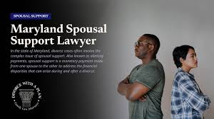 Spousal Support Lawyer: Protecting Your Financial Future