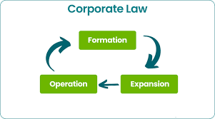Corporate Law Essentials for Business Owners
